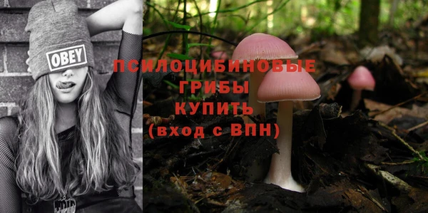 дурь Яранск