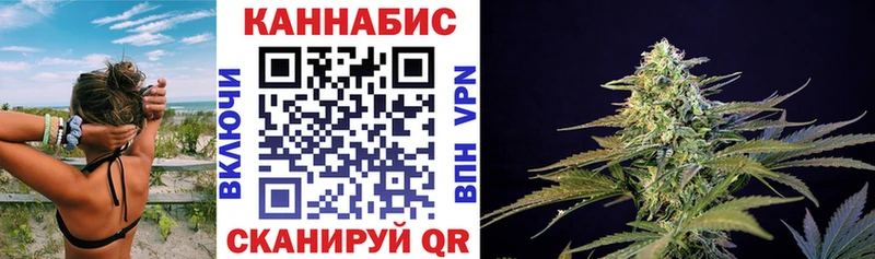Марихуана сатива  Гаврилов-Ям 